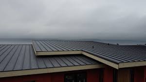 Best Solar Panel Roofing Installation  in Mila Doce, TX